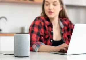 smart voice control in Egypt
